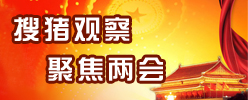 搜猪网